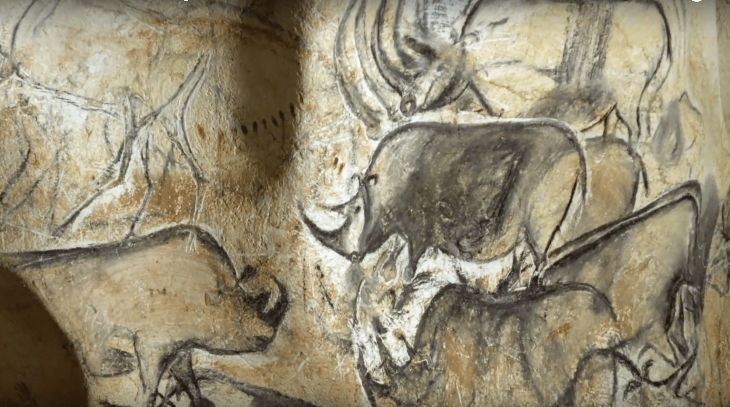 Screen Shot 2017-06-04 at 6.30.46 PM