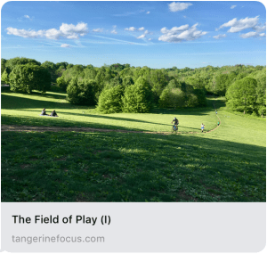 media is a place where thinking happens, where ideas develop and are clarified, where understanding grows, both for authors and for readers.