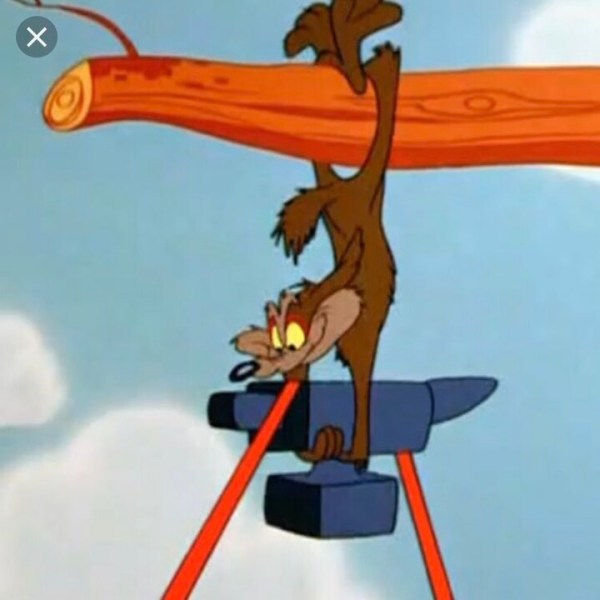 Wile E. Coyote with falling anvil&nbsp;moment