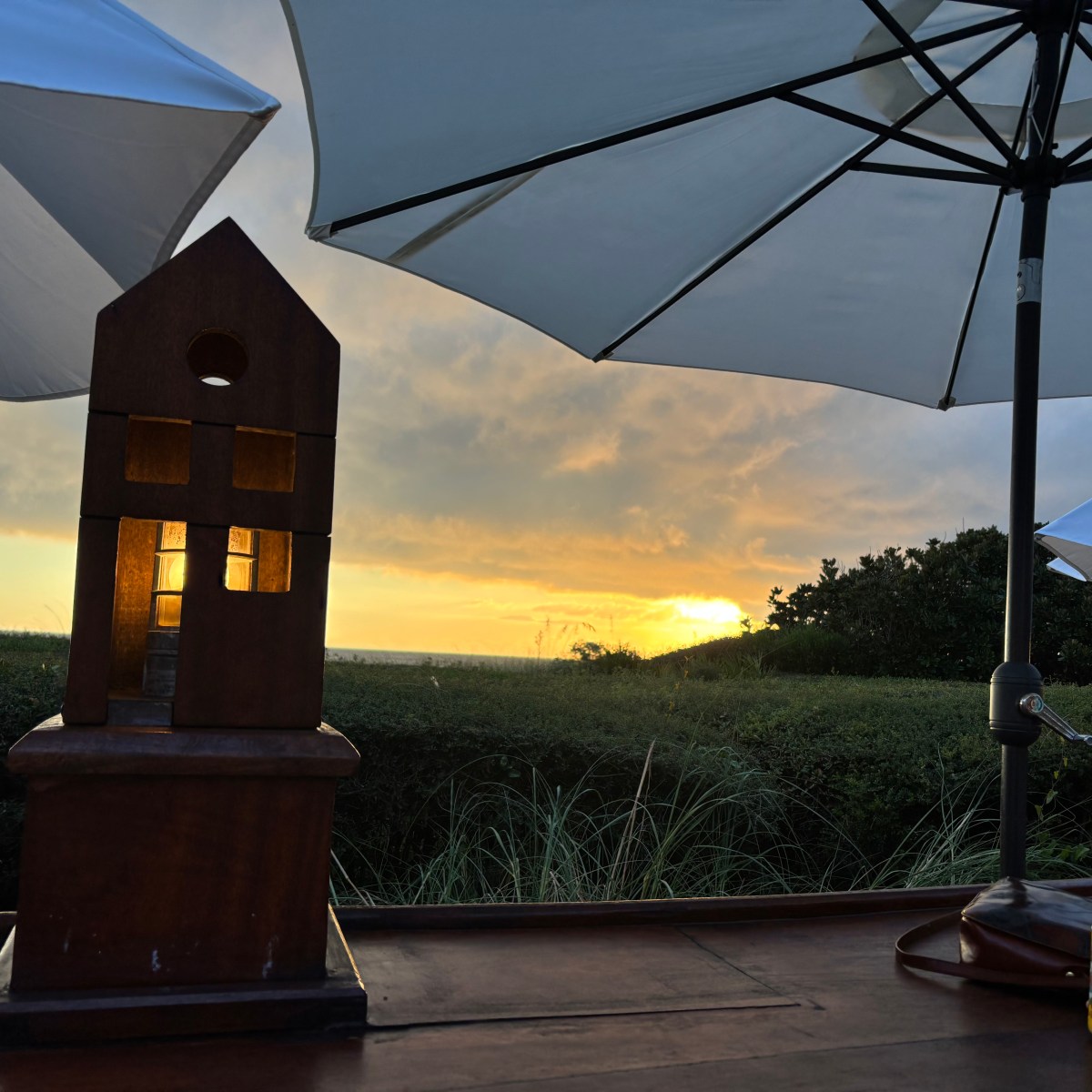 What’s going on when we’re engaged in the work of perception, of things very&nbsp;complex