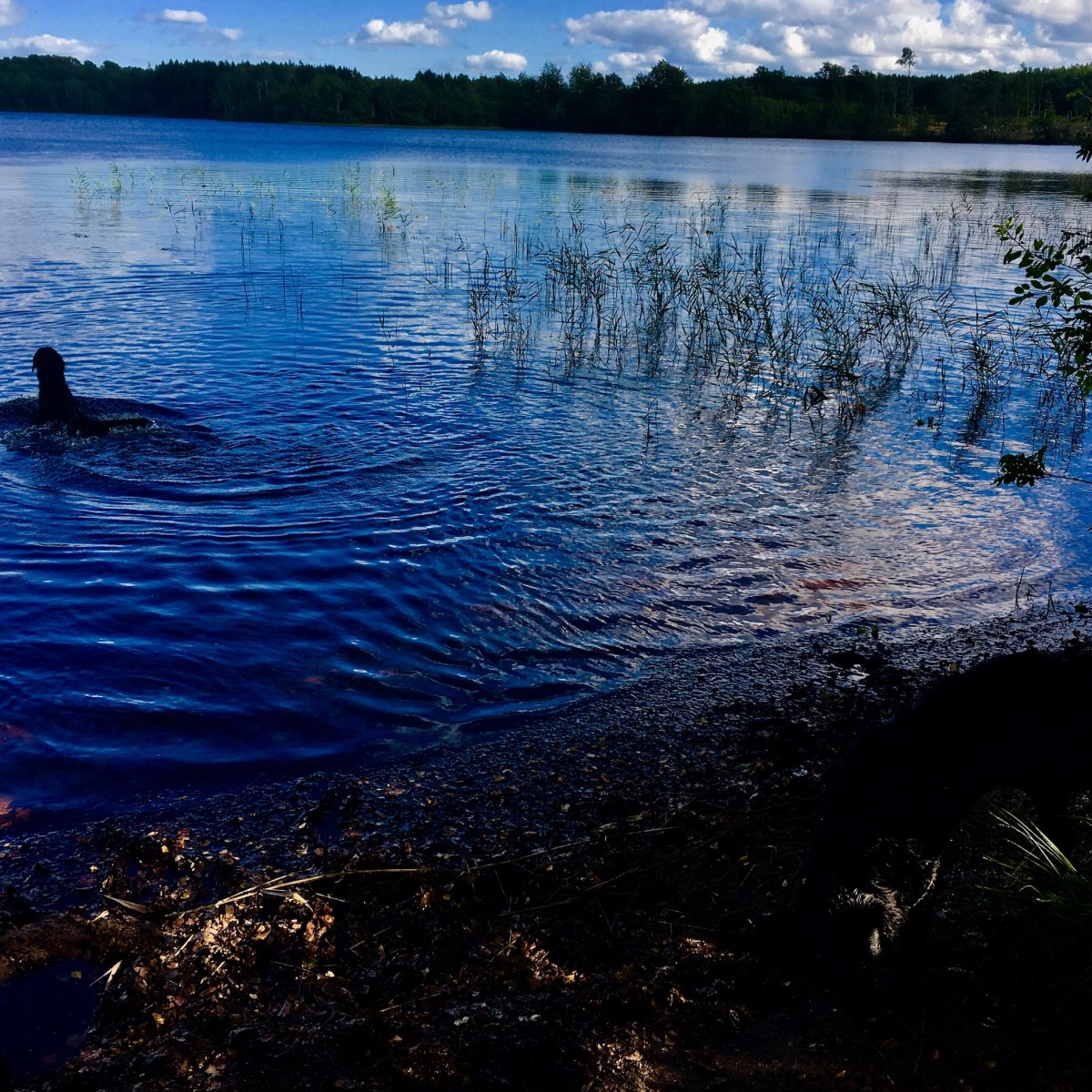 Pretty big jumps, into&nbsp;what?